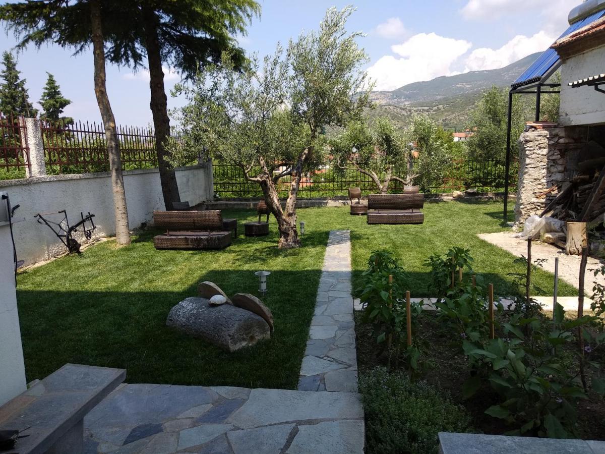 Villa Agnanti Apts And Suites Agio Pnevma 외부 사진