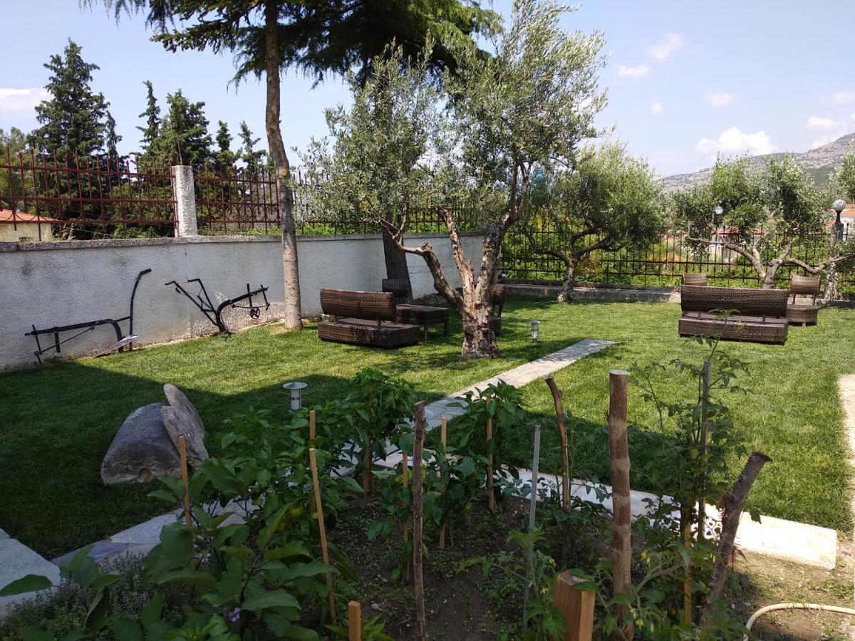 Villa Agnanti Apts And Suites Agio Pnevma 외부 사진