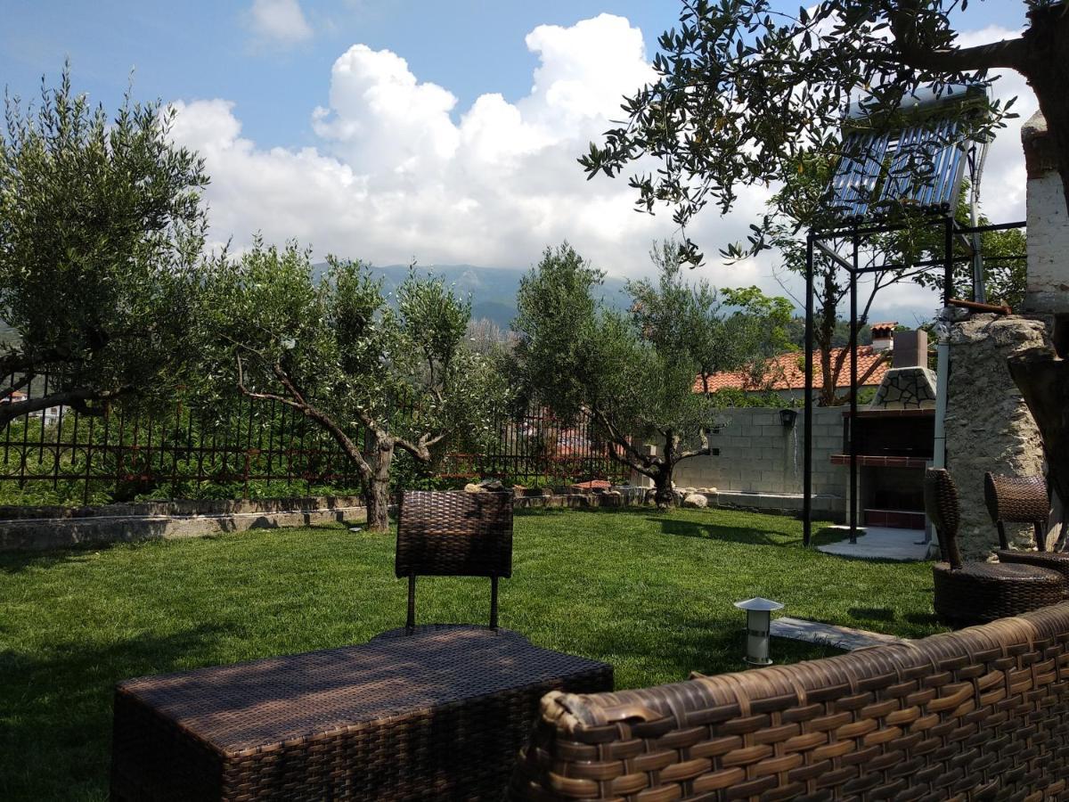 Villa Agnanti Apts And Suites Agio Pnevma 외부 사진